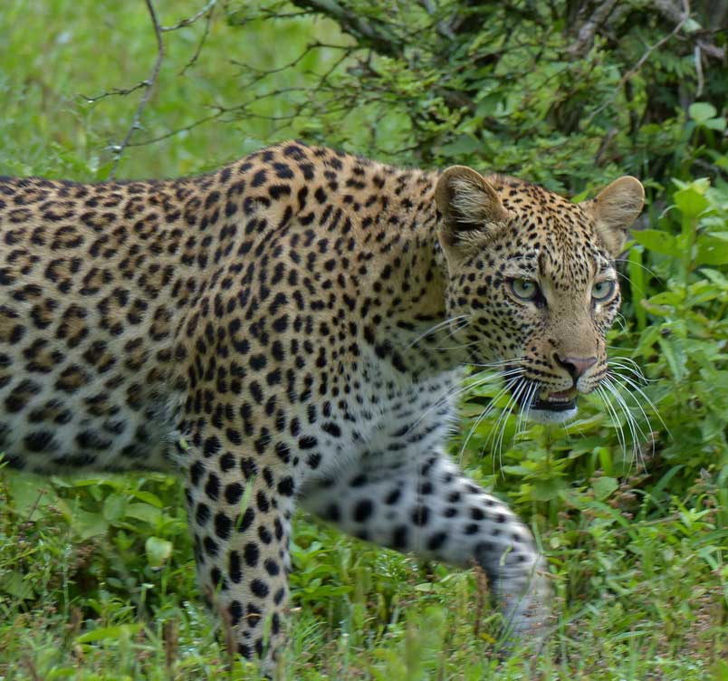 6 days safari 6 days package